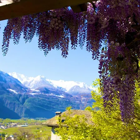 Altavilla Locanda E Tipica Trattoria Bianzone