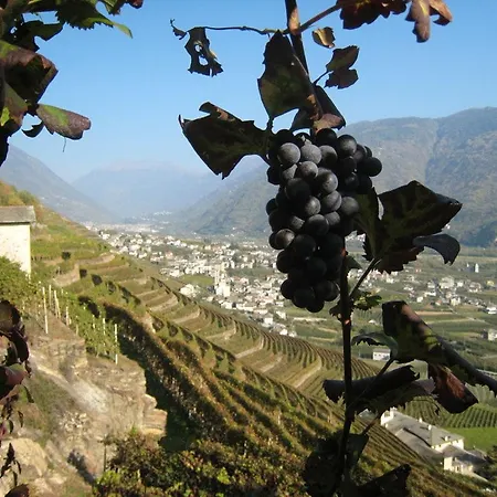 Altavilla Locanda E Tipica Trattoria *