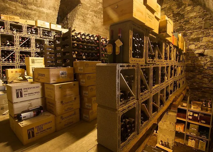 阿尔塔维拉洛坎达提皮卡酒店 酒店