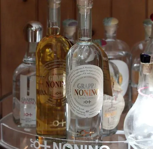 酒店 阿尔塔维拉洛坎达提皮卡酒店 Bianzone